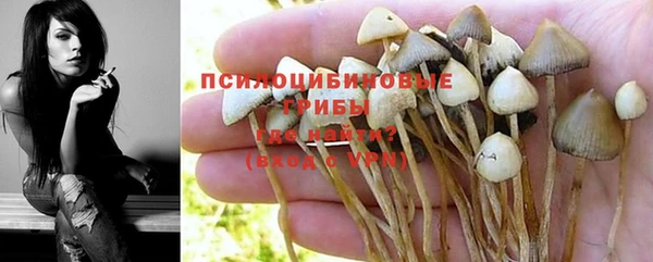герыч Богородск