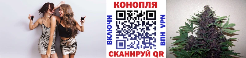 Конопля индика  Балей 
